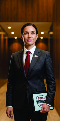 Programa anual de auditoría: revisión y planificación